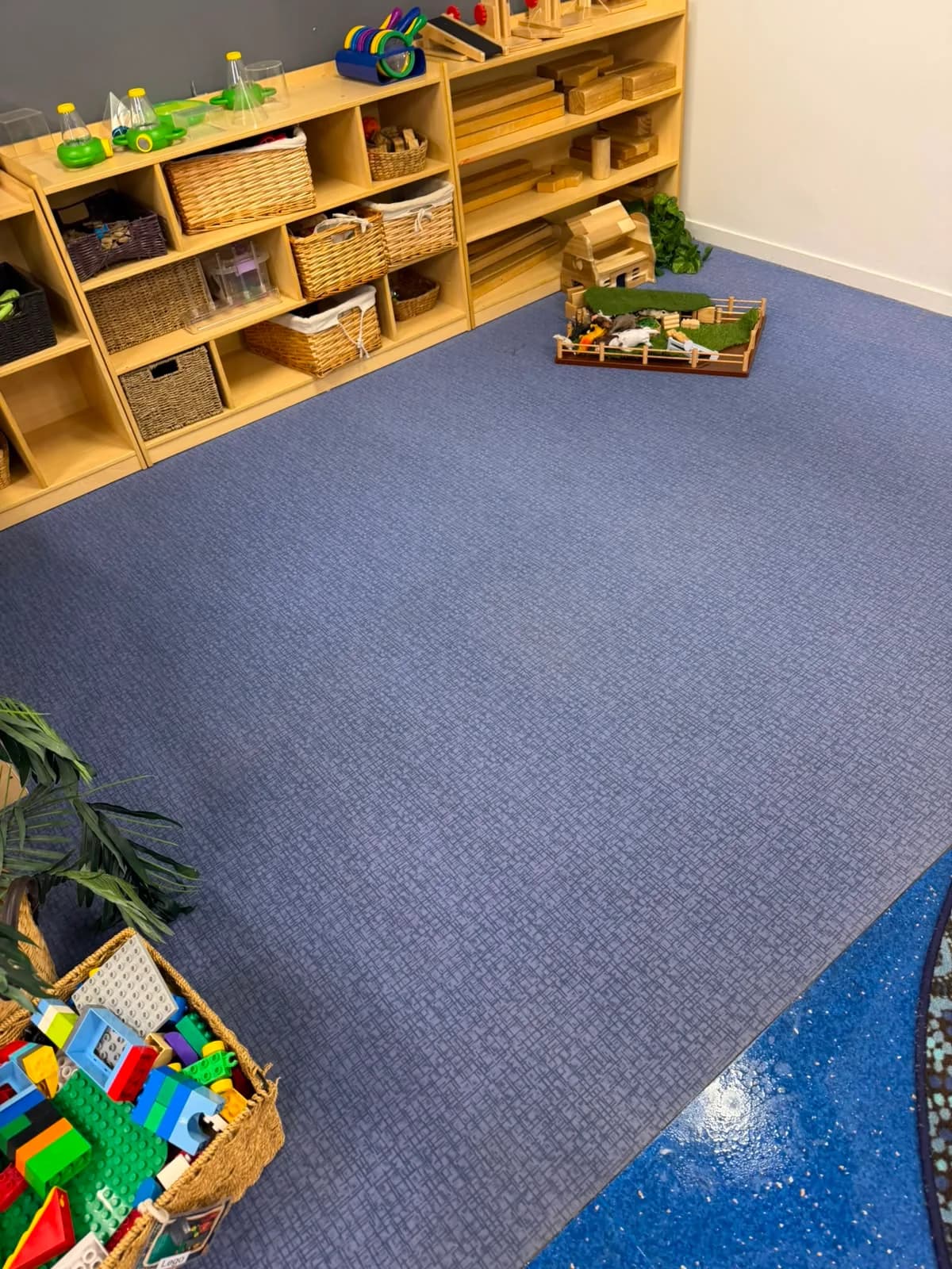 Rugs — work photo 1