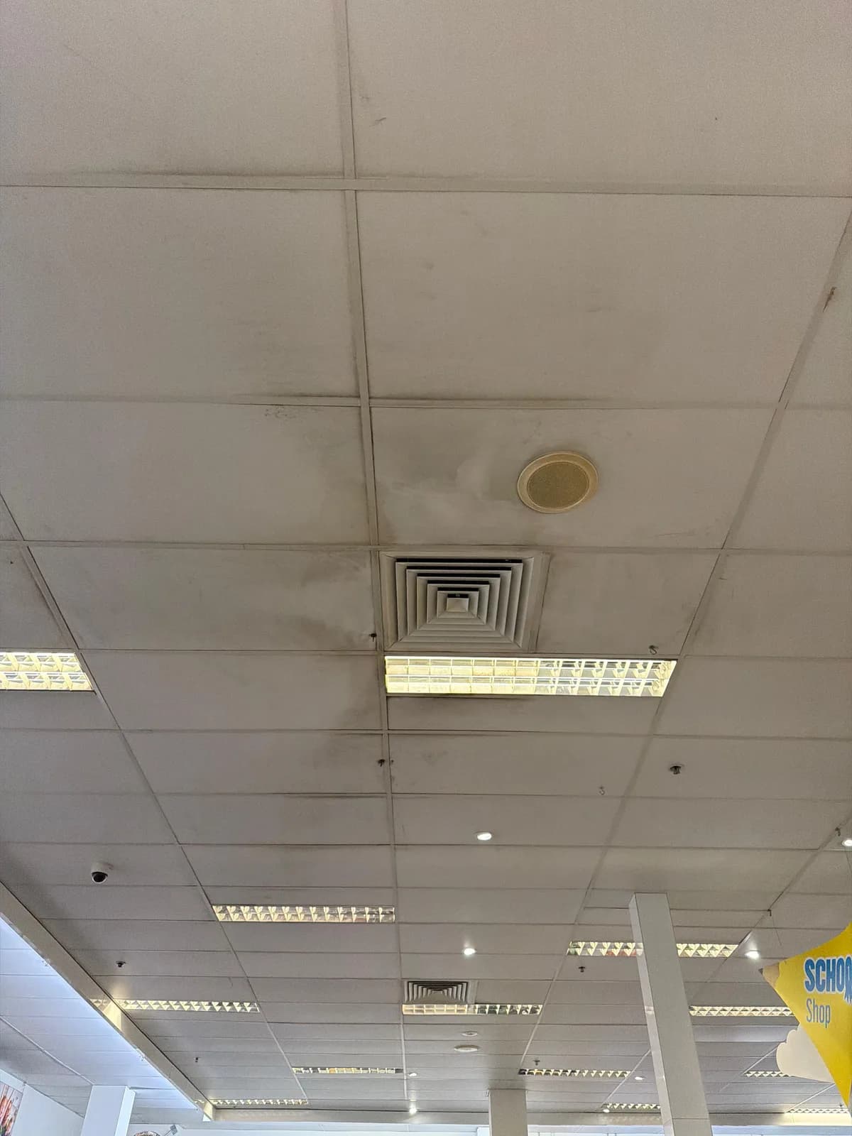 Mould Clean — work photo 1