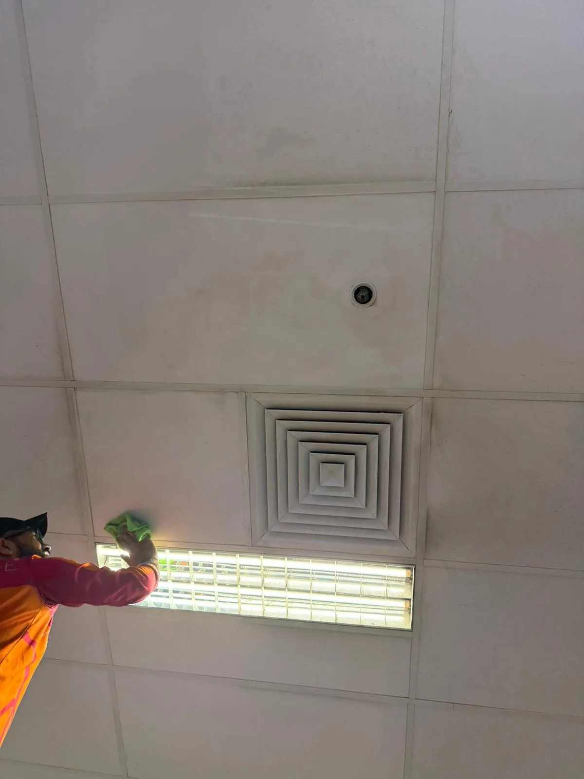 Mould Clean — work photo 2