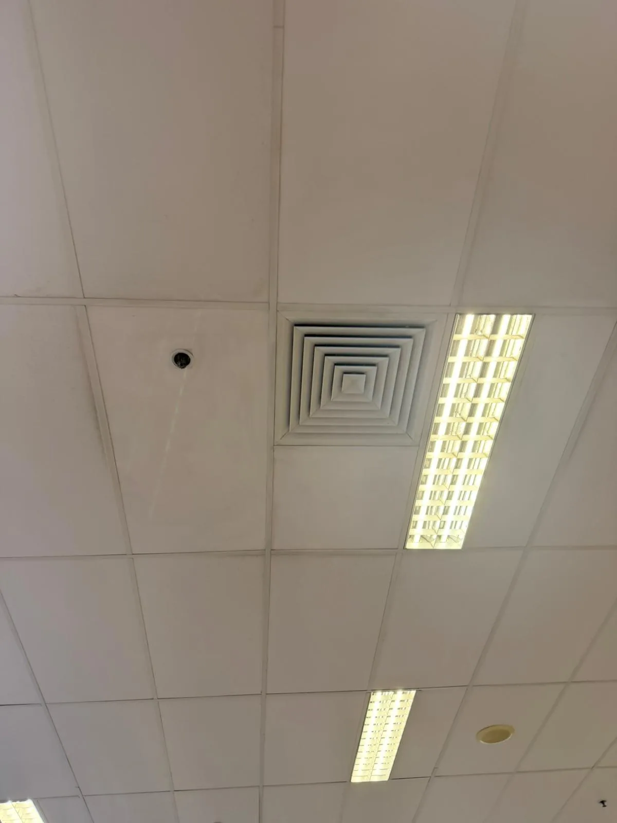 Mould Clean — work photo 3