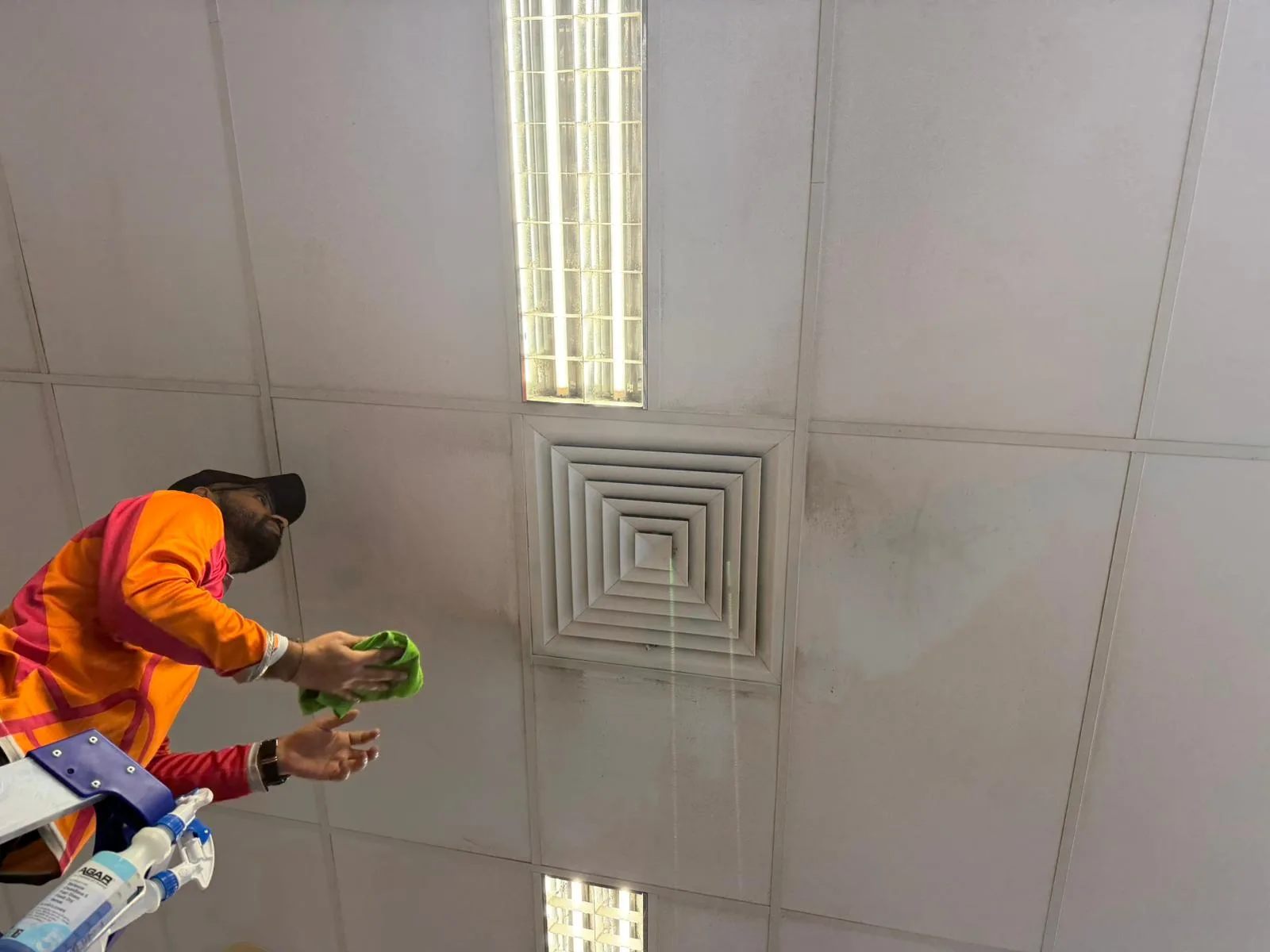 Mould Clean — work photo 4