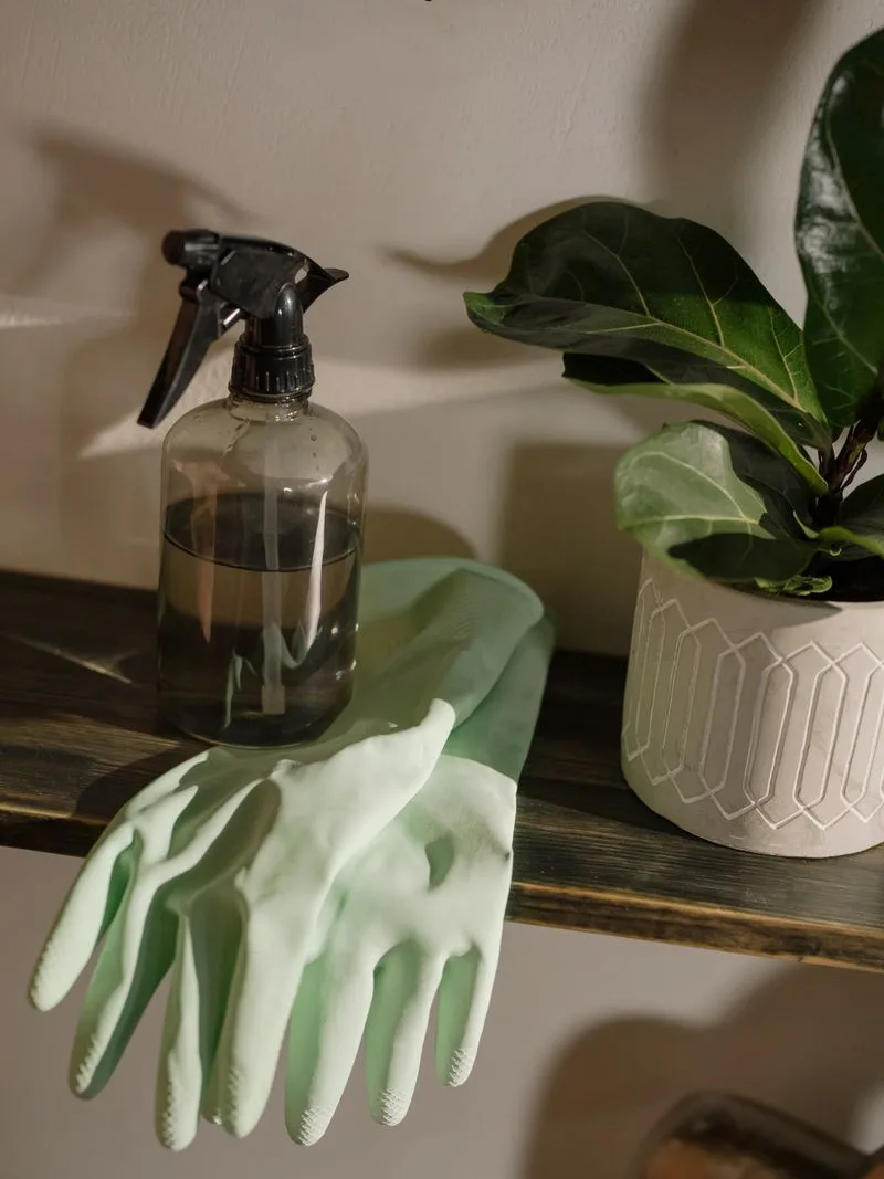Eco-friendly cleaning products