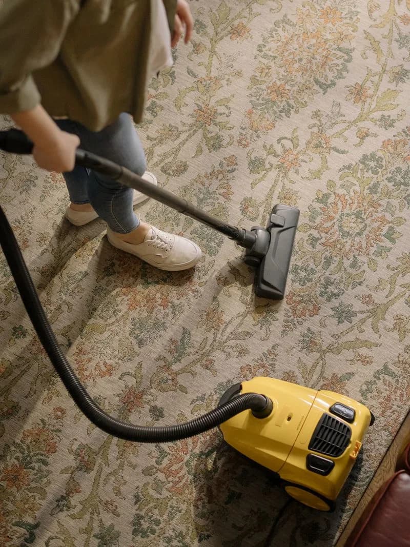 Steam carpet cleaning in a Brisbane home
