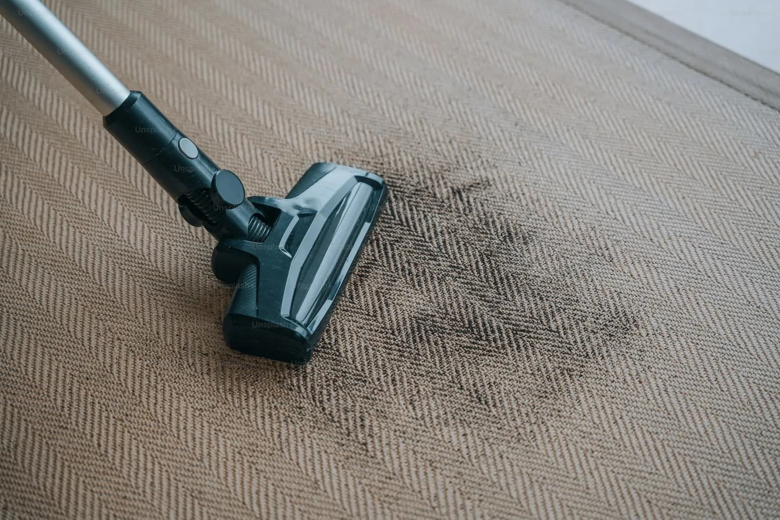 Steam carpet cleaning in a Brisbane home