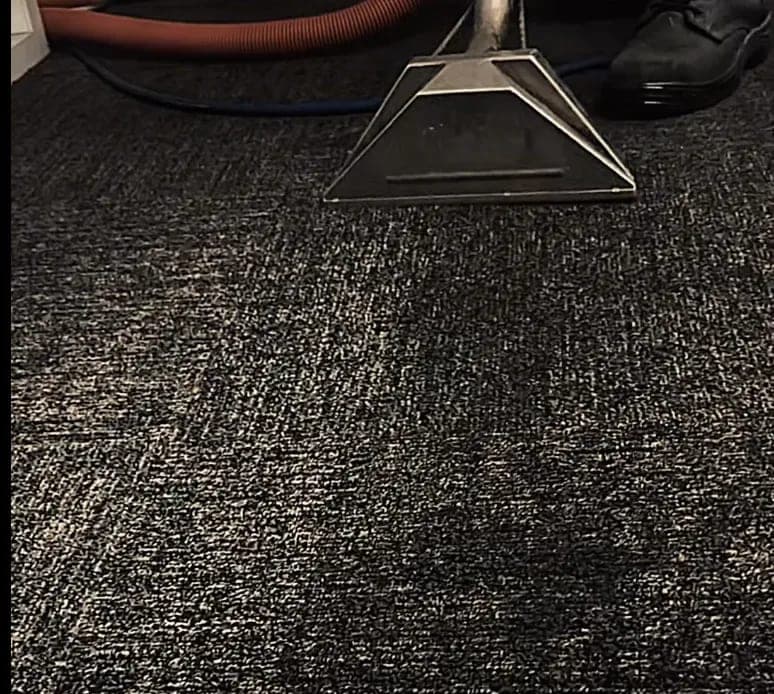 Carpet steam cleaning Brisbane: hot water extraction wand cleaning a commercial office carpet